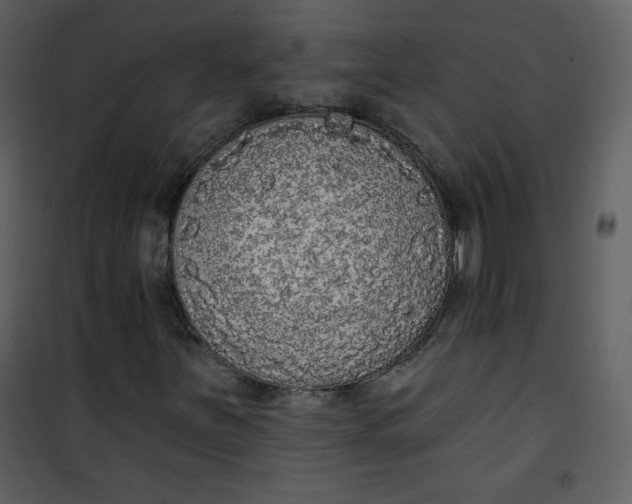 X0000101151251200807181325