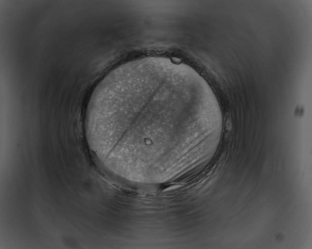 X0000101151252200807181325