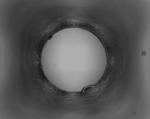 X0000101151253200807181325