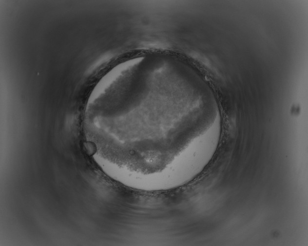 X0000101151254200807181325