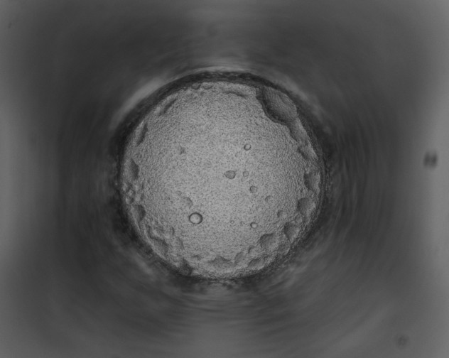 X0000101151255200807181325