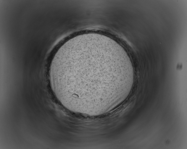 X0000101151256200807181325