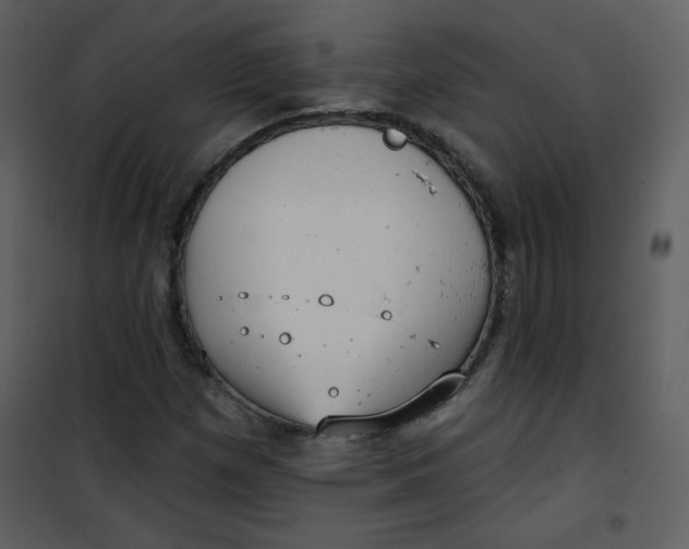 X0000101151257200807181325