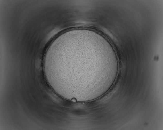 X0000101151259200807181325