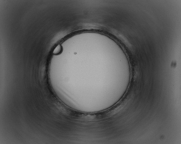 X0000101151261200807181325