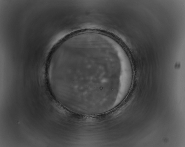 X0000101151263200807181325