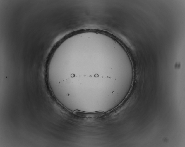 X0000101151264200807181325