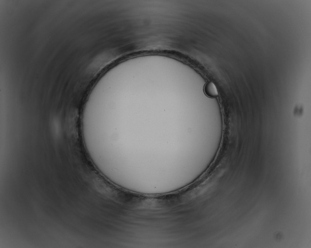 X0000101151265200807181325