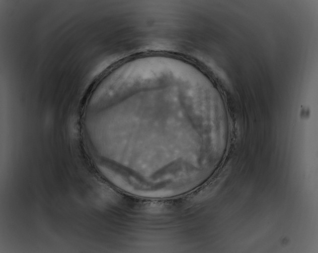 X0000101151266200807181325