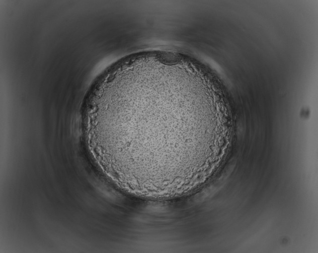 X0000101151267200807181325