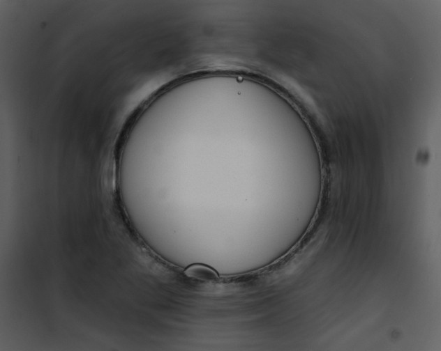 X0000101151269200807181325