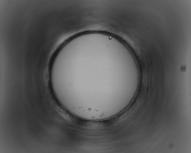 X0000101151270200807181325