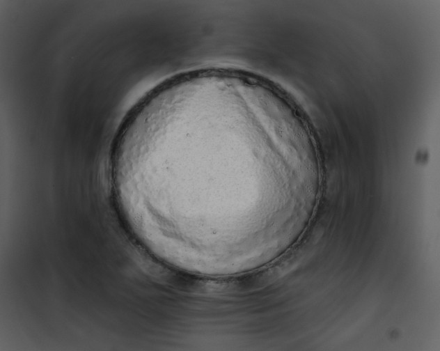 X0000101151271200807181325