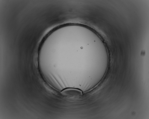 X0000101151272200807181325