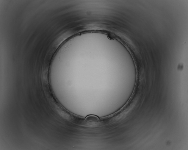 X0000101151273200807181325