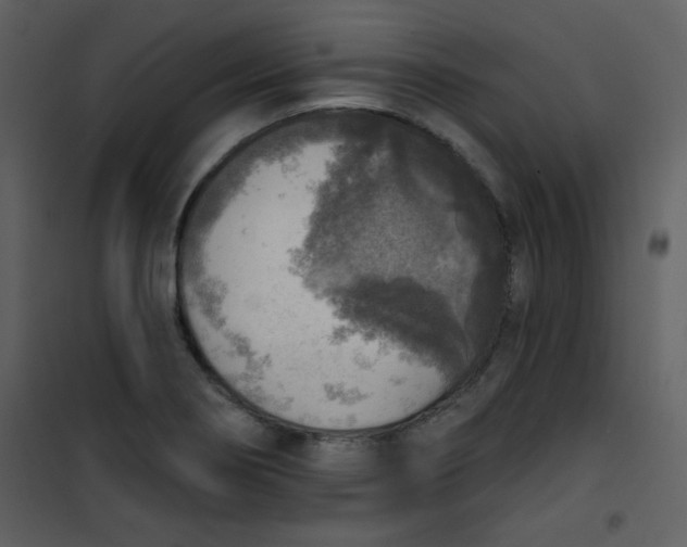 X0000101151274200807181325