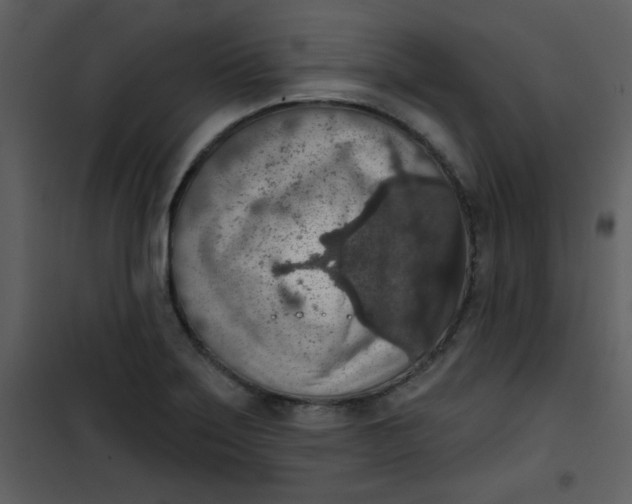 X0000101151275200807181325