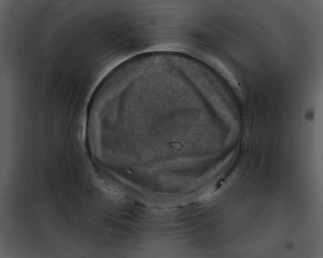 X0000101151276200807181325