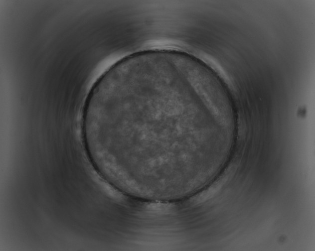 X0000101151277200807181325