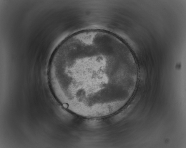 X0000101151278200807181325