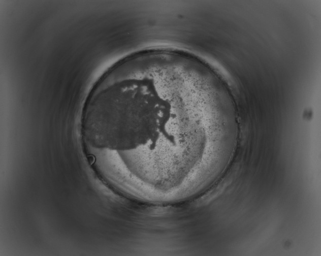 X0000101151279200807181325