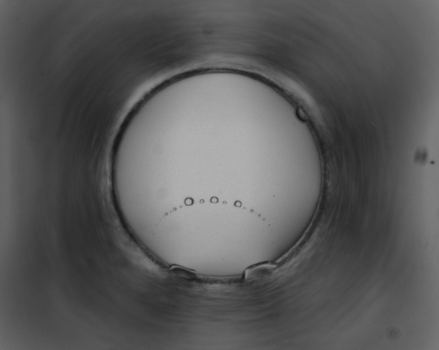 X0000101151280200807181325