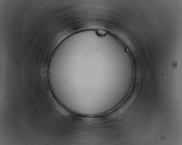 X0000101151281200807181325