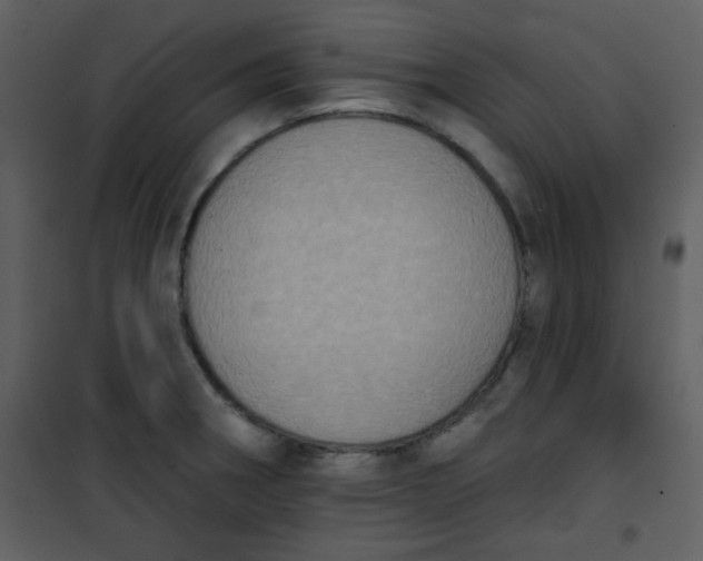 X0000101151282200807181325