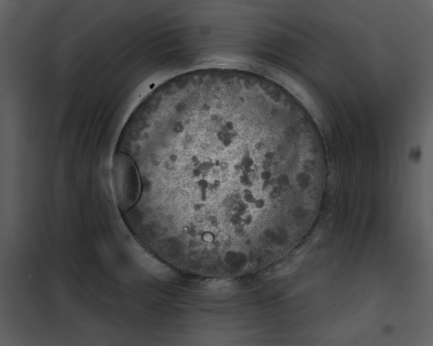 X0000101151283200807181325