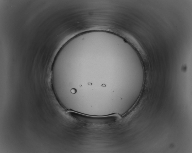 X0000101151284200807181325