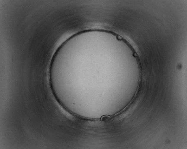 X0000101151285200807181325