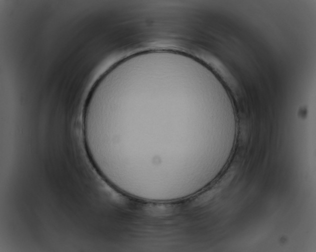 X0000101151286200807181325