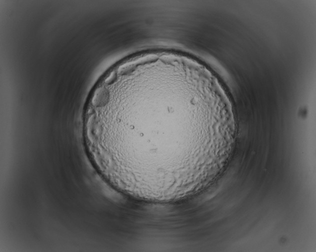 X0000101151287200807181325