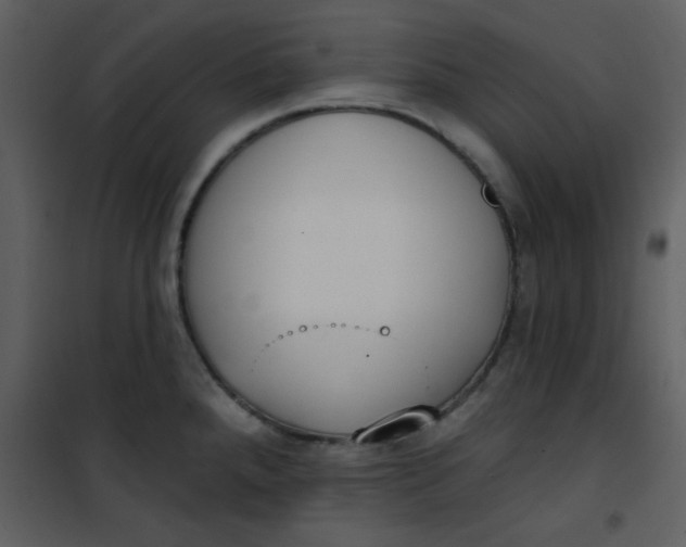 X0000101151288200807181325