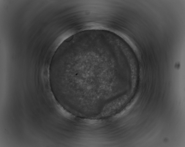 X0000101151289200807181325