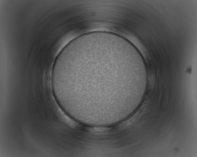 X0000101151290200807181325