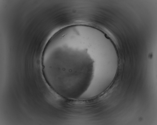 X0000101151291200807181325