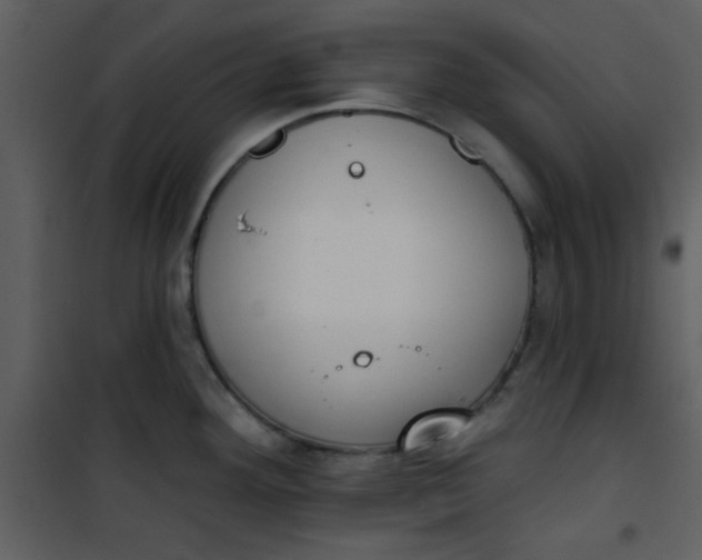 X0000101151292200807181325