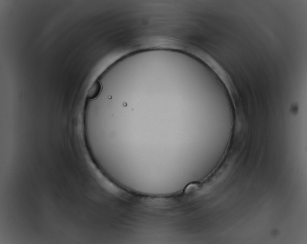 X0000101151293200807181325