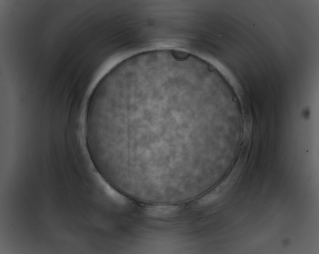 X0000101151294200807181325