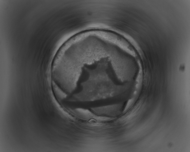 X0000101151295200807181325