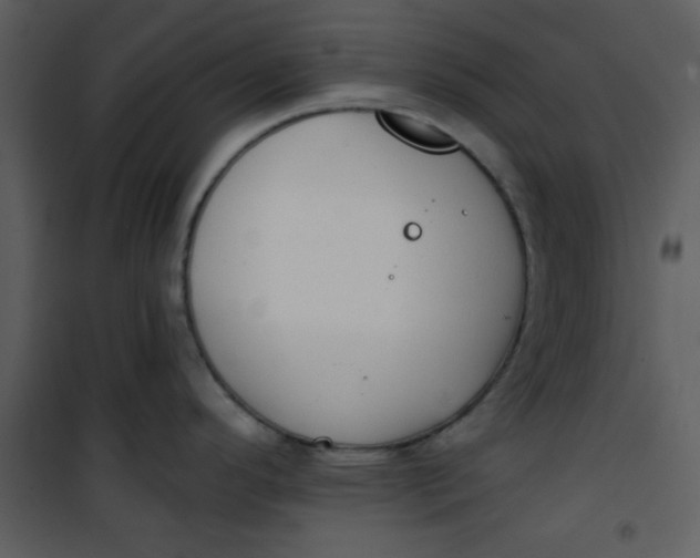 X0000101151296200807181325