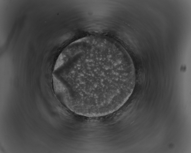 X0000101151297200807181324