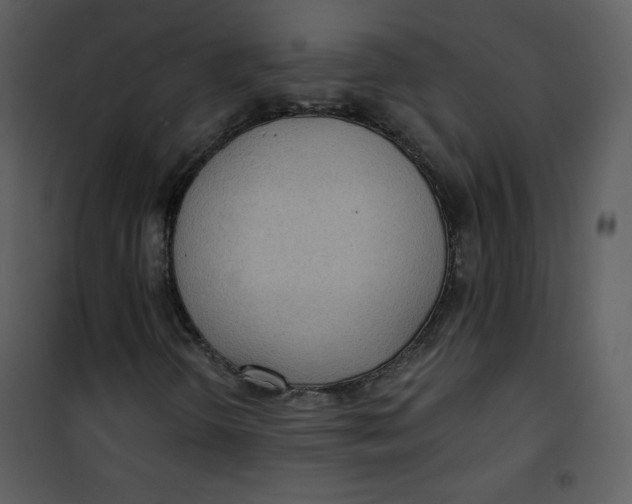 X0000101151298200807181324