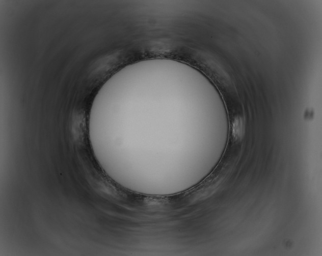 X0000101151299200807181324