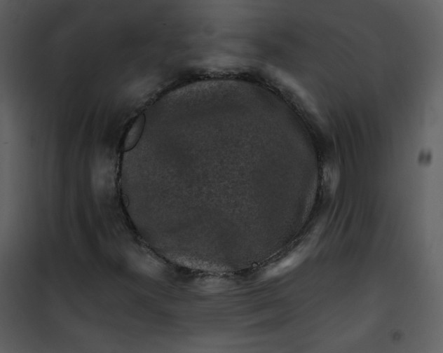 X0000101151300200807181324