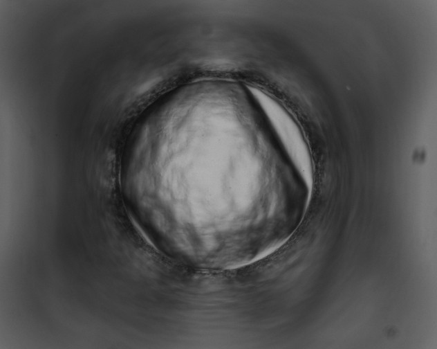 X0000101151301200807181324