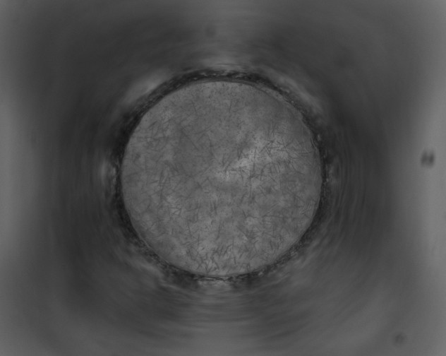 X0000101151302200807181324