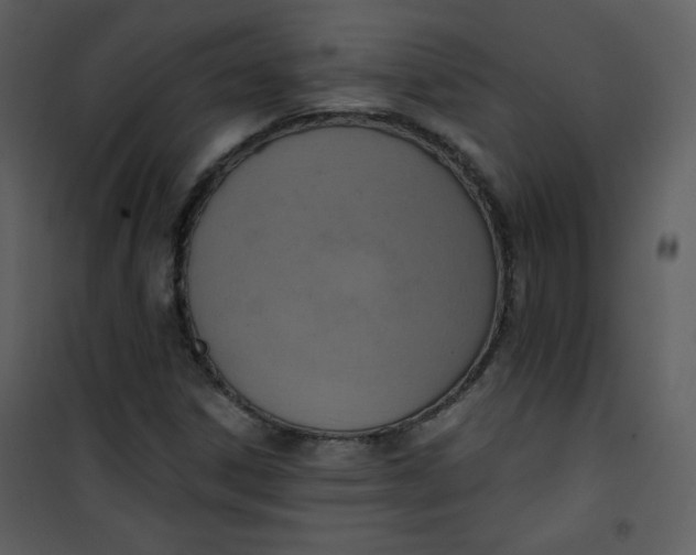 X0000101151306200807181324