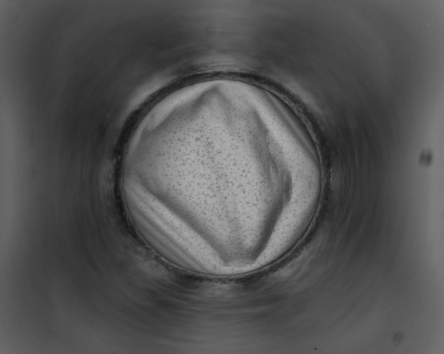 X0000101151309200807181324